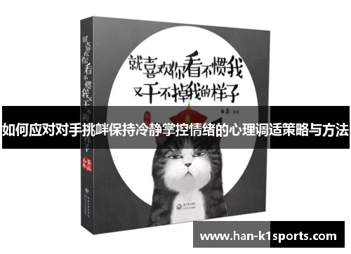 如何应对对手挑衅保持冷静掌控情绪的心理调适策略与方法