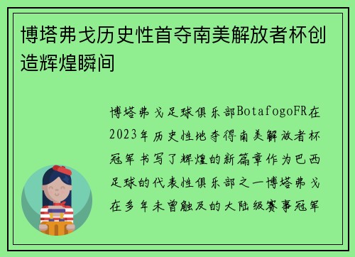 博塔弗戈历史性首夺南美解放者杯创造辉煌瞬间