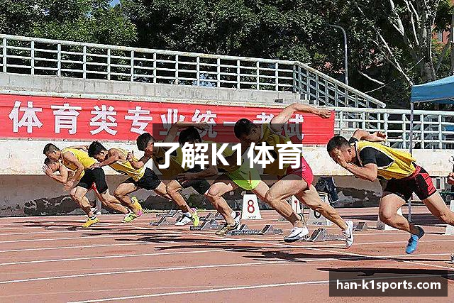 了解K1体育